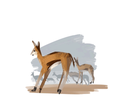Gif animé gazelle saute